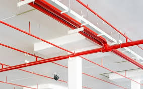 WhatsApp Image 2025-09-28 at 2.52.24 PM (1)