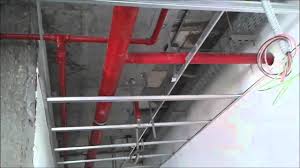 WhatsApp Image 2025-09-28 at 2.52.25 PM