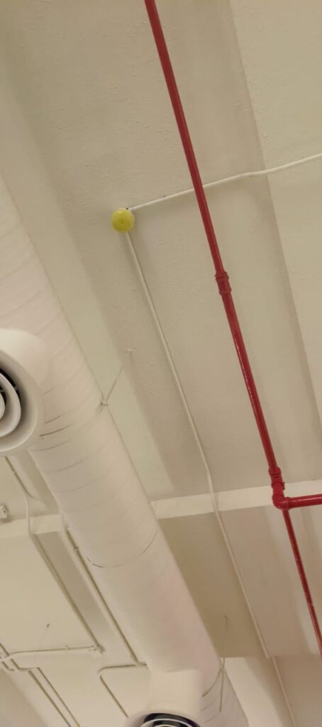 WhatsApp Image 2025-10-18 at 10.38.29 PM