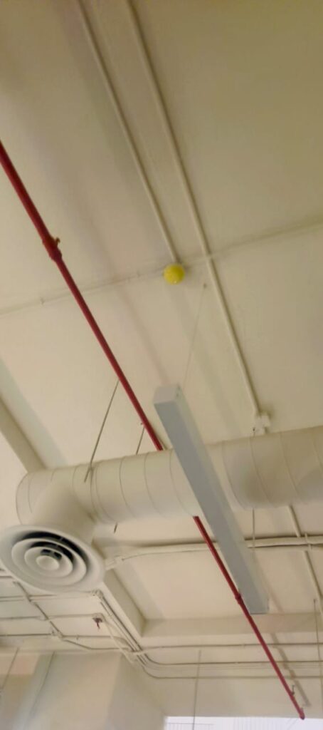 WhatsApp Image 2025-10-18 at 10.38.30 PM