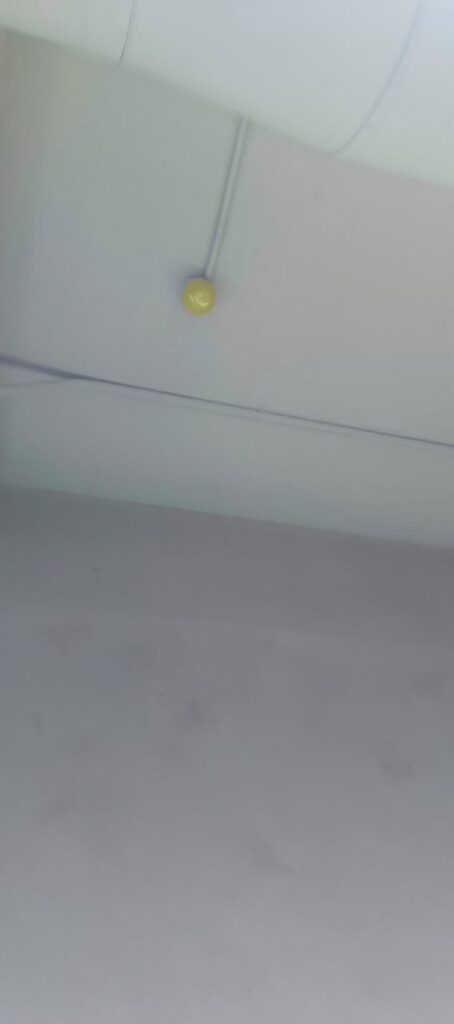 WhatsApp Image 2025-10-18 at 10.38.32 PM (1)