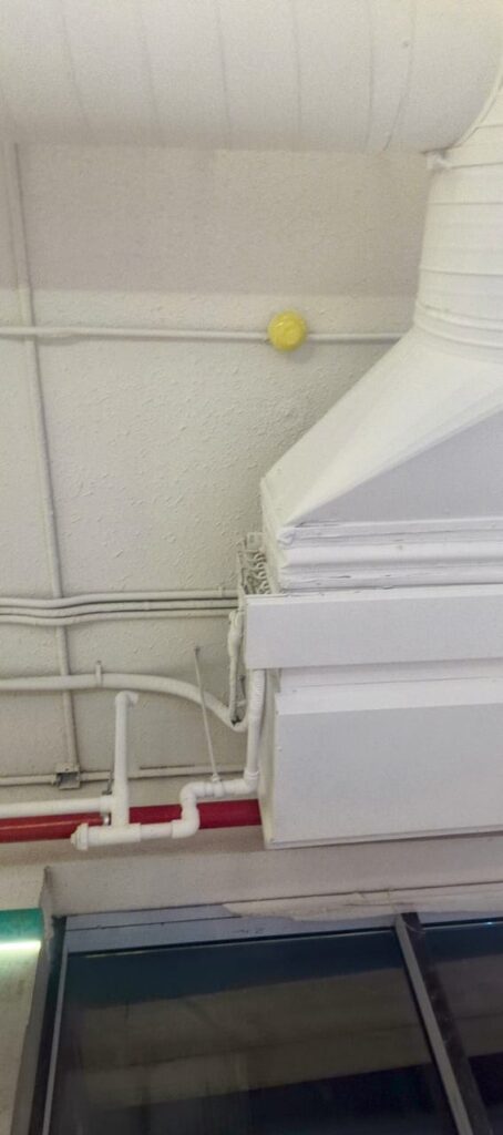 WhatsApp Image 2025-10-18 at 10.38.33 PM