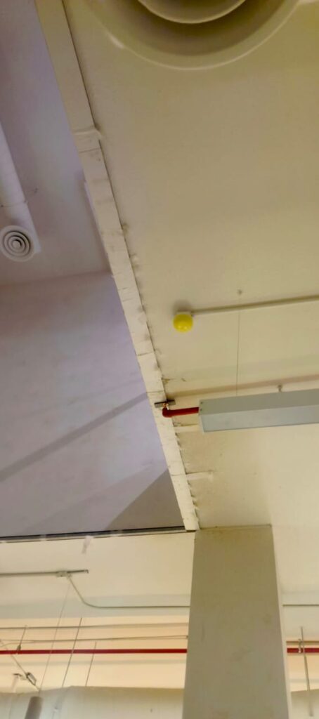 WhatsApp Image 2025-10-18 at 10.38.40 PM(1)