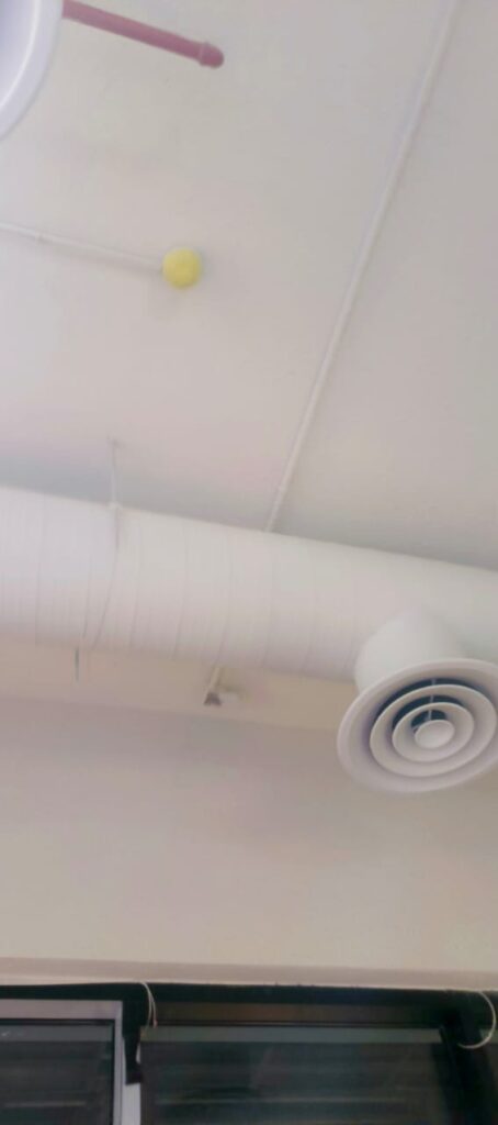 WhatsApp Image 2025-10-18 at 10.38.41 PM (1)