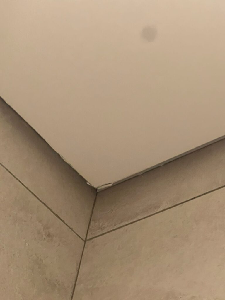 WhatsApp Image 2025-10-18 at 10.38.44 PM (1)